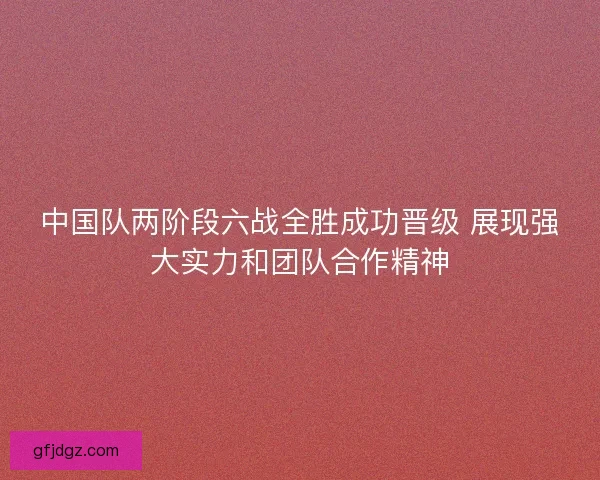 中国队两阶段六战全胜成功晋级 展现强大实力和团队合作精神